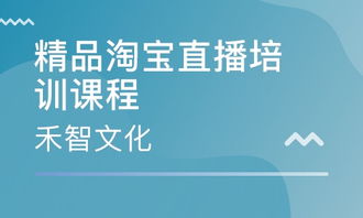 杭州禾智文化 課程特色、價格及網絡文化經營解析