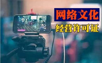 成都辦理網絡文化經營許可證指南 如何選擇靠譜的服務機構